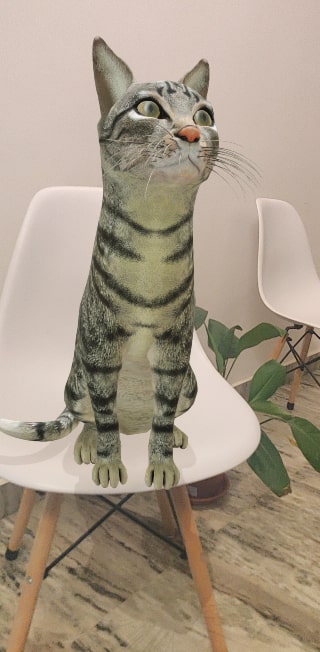 Google 3D Cat