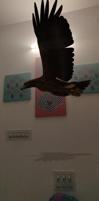 Google 3D Eagle