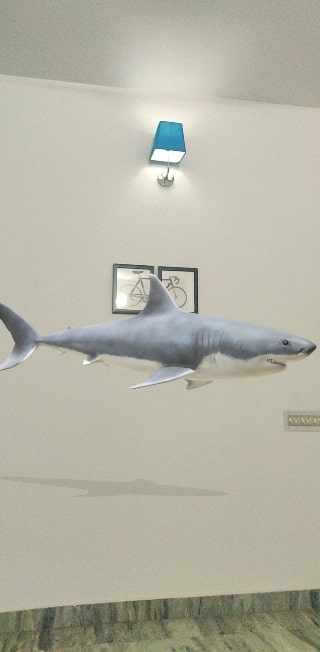 Google Shark 3D