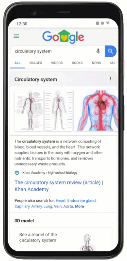 Google 3D AR Human Circulation System