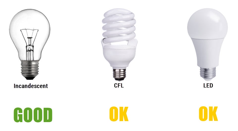 Incandescent vs CFL vs LED: Good For Eyes